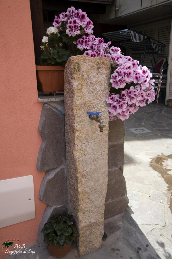 Bed and Breakfast L'Agrifoglio Di Emy Guspini Exterior foto